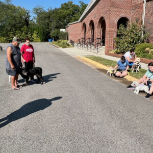 Annual Blessing of Pets